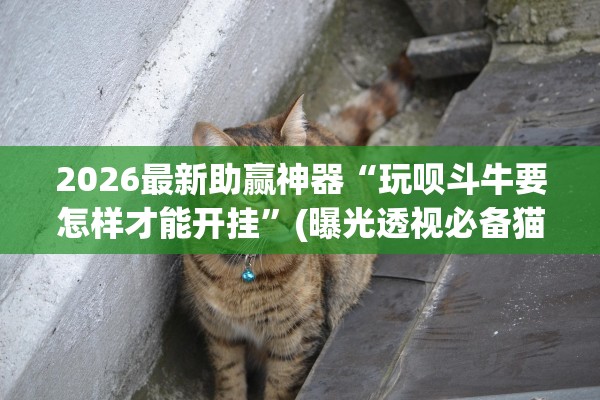 2026最新助赢神器“玩呗斗牛要怎样才能开挂”(曝光透视必备猫腻)