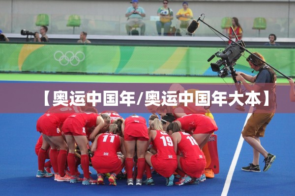 【奥运中国年/奥运中国年大本】
