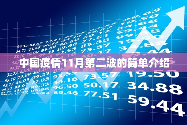 中国疫情11月第二波的简单介绍
