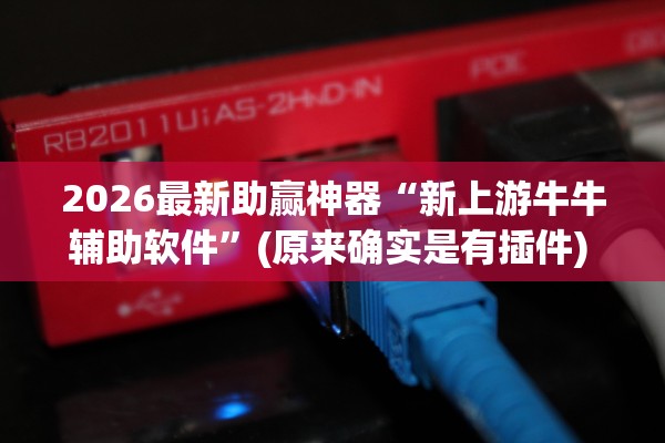 2026最新助赢神器“新上游牛牛辅助软件”(原来确实是有插件) 