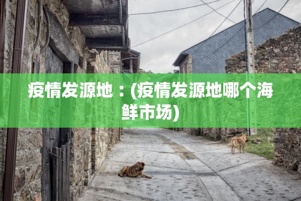 疫情发源地︰(疫情发源地哪个海鲜市场)
