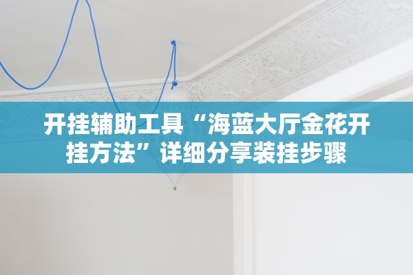 开挂辅助工具“海蓝大厅金花开挂方法”详细分享装挂步骤
