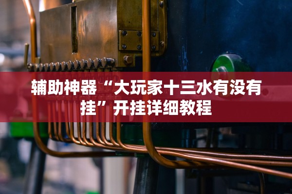 辅助神器“大玩家十三水有没有挂”开挂详细教程
