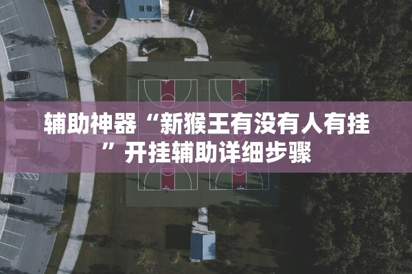 辅助神器“新猴王有没有人有挂”开挂辅助详细步骤