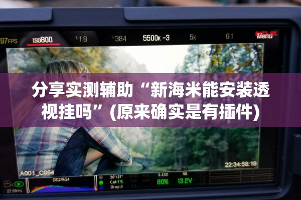 分享实测辅助“新海米能安装透视挂吗”(原来确实是有插件)