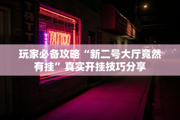 玩家必备攻略“新二号大厅竟然有挂”真实开挂技巧分享