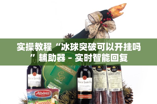 实操教程“冰球突破可以开挂吗”辅助器 – 实时智能回复