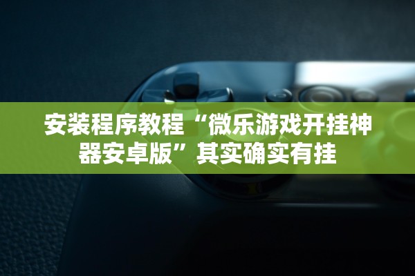 安装程序教程“微乐游戏开挂神器安卓版”其实确实有挂