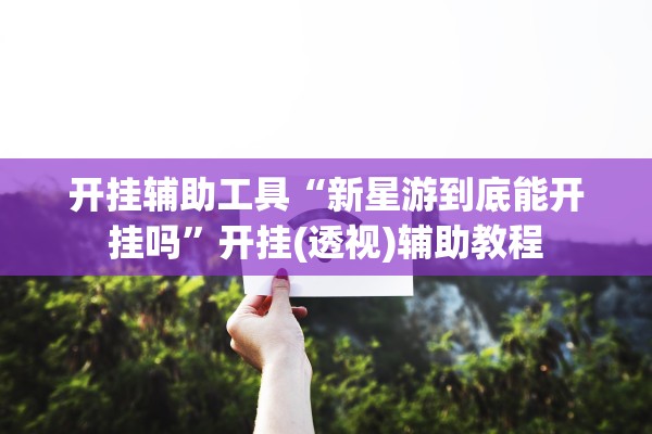 开挂辅助工具“新星游到底能开挂吗”开挂(透视)辅助教程