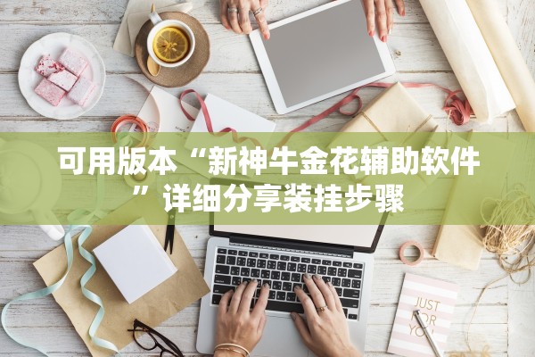 可用版本“新神牛金花辅助软件”详细分享装挂步骤
