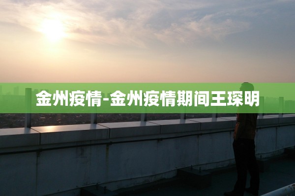 金州疫情-金州疫情期间王琛明