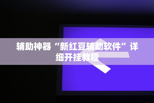 辅助神器“新红豆辅助软件	”详细开挂教程
