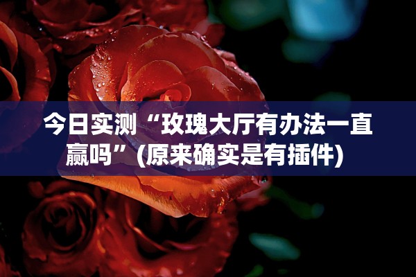 今日实测“玫瑰大厅有办法一直赢吗	”(原来确实是有插件) 