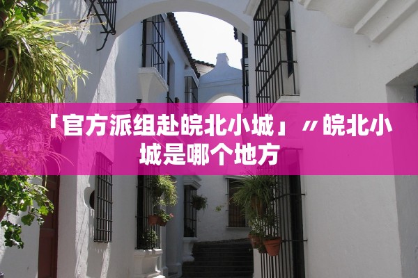 「官方派组赴皖北小城」〃皖北小城是哪个地方
