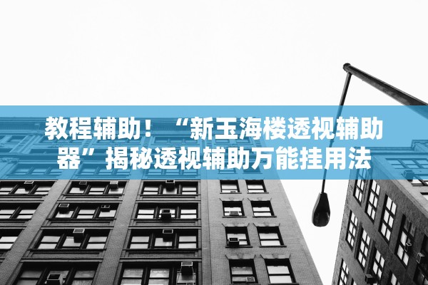 教程辅助！“新玉海楼透视辅助器”揭秘透视辅助万能挂用法