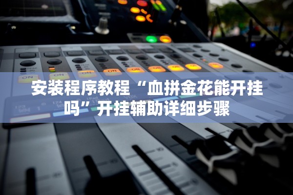 安装程序教程“血拼金花能开挂吗”开挂辅助详细步骤