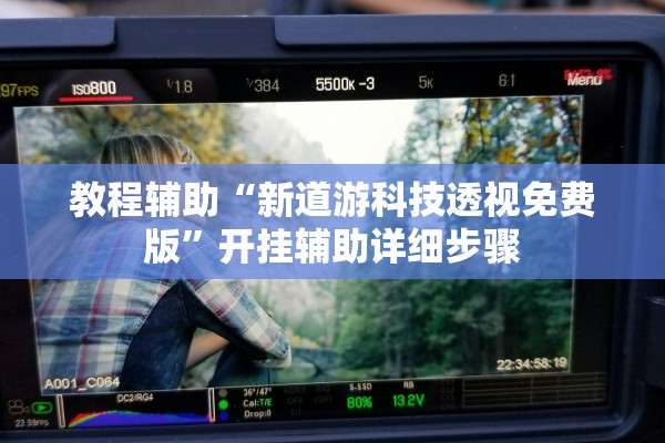 教程辅助“新道游科技透视免费版	”开挂辅助详细步骤