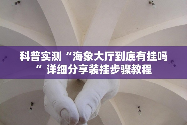 科普实测“海象大厅到底有挂吗”详细分享装挂步骤教程
