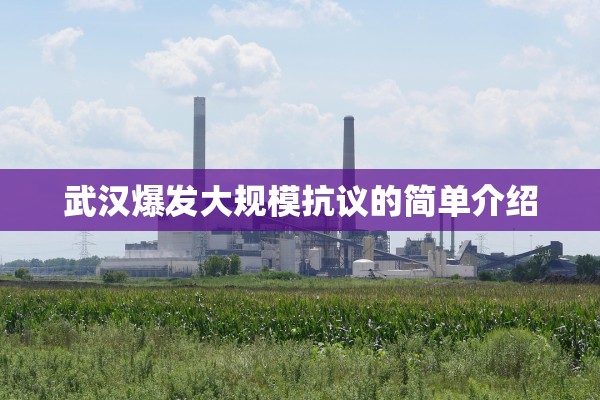 武汉爆发大规模抗议的简单介绍
