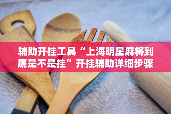 辅助开挂工具“上海明星麻将到底是不是挂”开挂辅助详细步骤