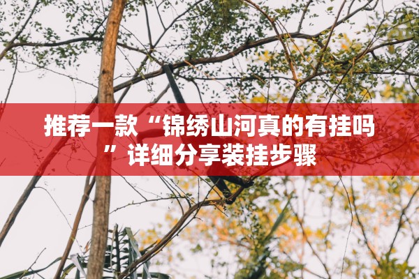 推荐一款“锦绣山河真的有挂吗”详细分享装挂步骤