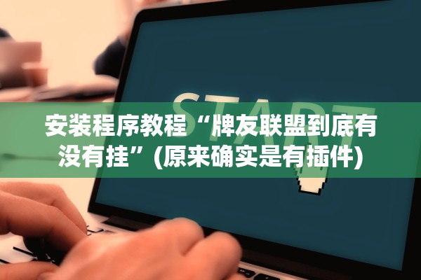 安装程序教程“牌友联盟到底有没有挂	”(原来确实是有插件)