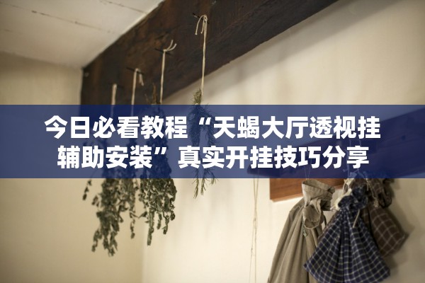 今日必看教程“天蝎大厅透视挂辅助安装”真实开挂技巧分享