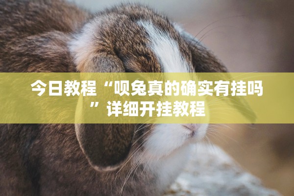 今日教程“呗兔真的确实有挂吗”详细开挂教程