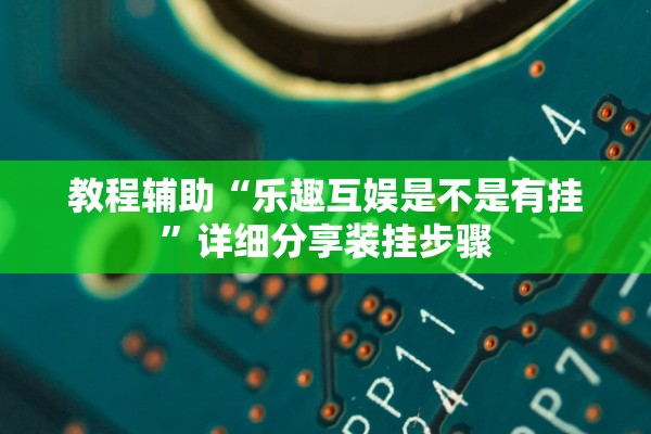 教程辅助“乐趣互娱是不是有挂”详细分享装挂步骤