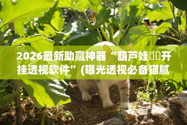 2026最新助赢神器“葫芦娃犇犇开挂透视软件	”(曝光透视必备猫腻)