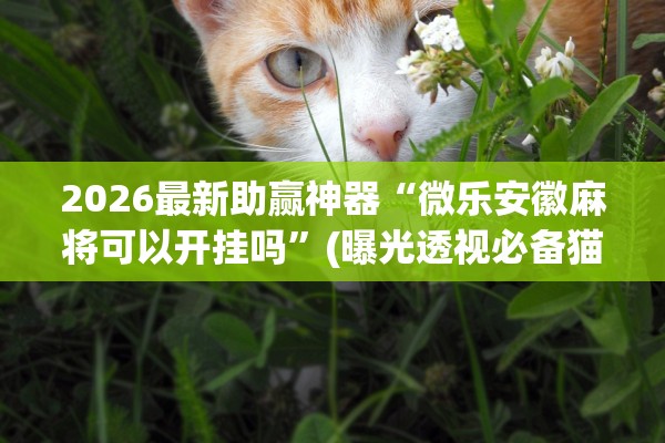 2026最新助赢神器“微乐安徽麻将可以开挂吗”(曝光透视必备猫腻)
