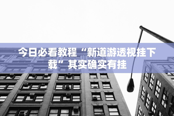 今日必看教程“新道游透视挂下载	”其实确实有挂