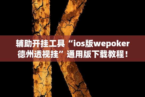 辅助开挂工具“ios版wepoker德州透视挂”通用版下载教程！