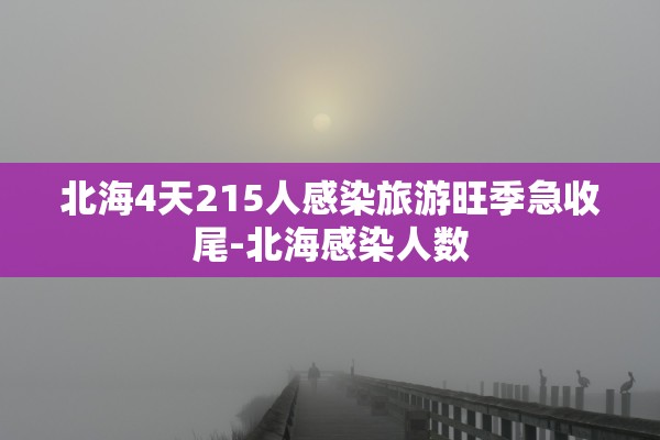 北海4天215人感染旅游旺季急收尾-北海感染人数