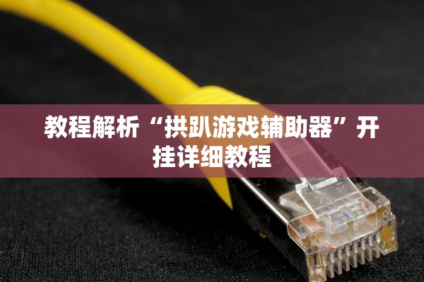 教程解析“拱趴游戏辅助器”开挂详细教程