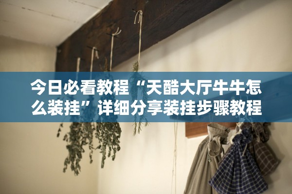 今日必看教程“天酷大厅牛牛怎么装挂”详细分享装挂步骤教程
