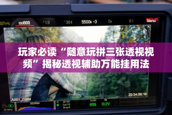 玩家必读“随意玩拼三张透视视频”揭秘透视辅助万能挂用法
