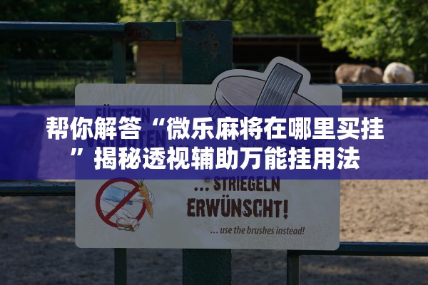 帮你解答“微乐麻将在哪里买挂”揭秘透视辅助万能挂用法