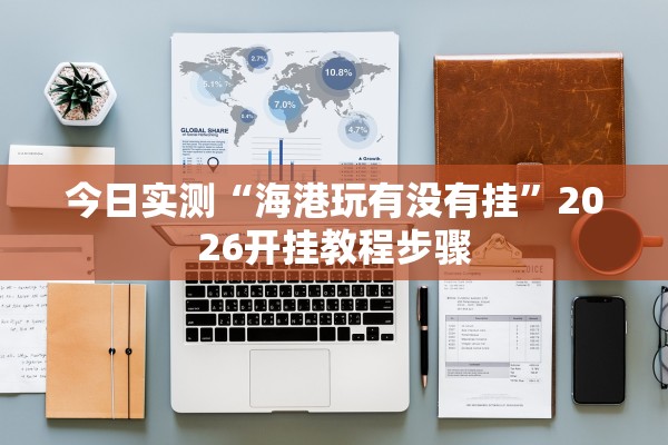今日实测“海港玩有没有挂”2026开挂教程步骤