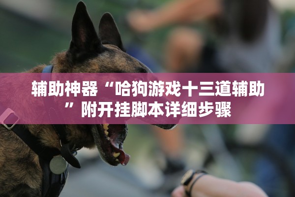 辅助神器“哈狗游戏十三道辅助”附开挂脚本详细步骤