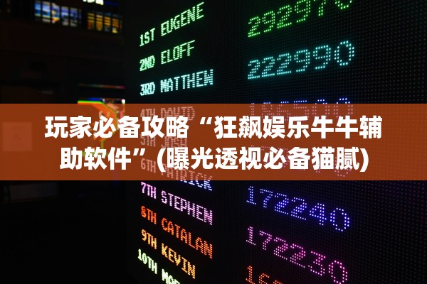 玩家必备攻略“狂飙娱乐牛牛辅助软件”(曝光透视必备猫腻)