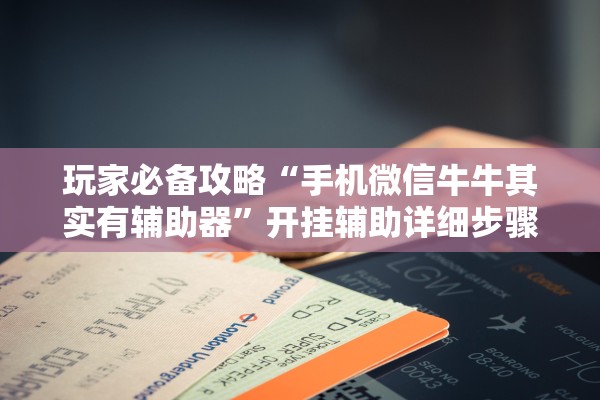 玩家必备攻略“手机微信牛牛其实有辅助器	”开挂辅助详细步骤