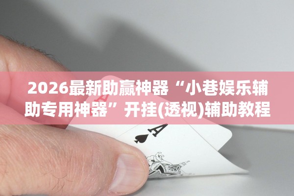 2026最新助赢神器“小巷娱乐辅助专用神器”开挂(透视)辅助教程