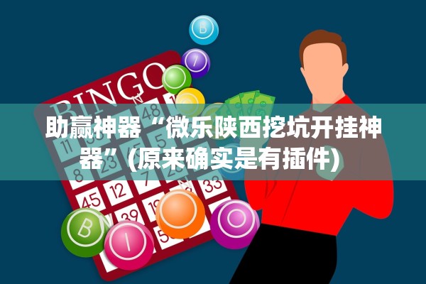 助赢神器“微乐陕西挖坑开挂神器”(原来确实是有插件) 