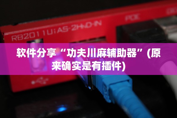 软件分享“功夫川麻辅助器”(原来确实是有插件)