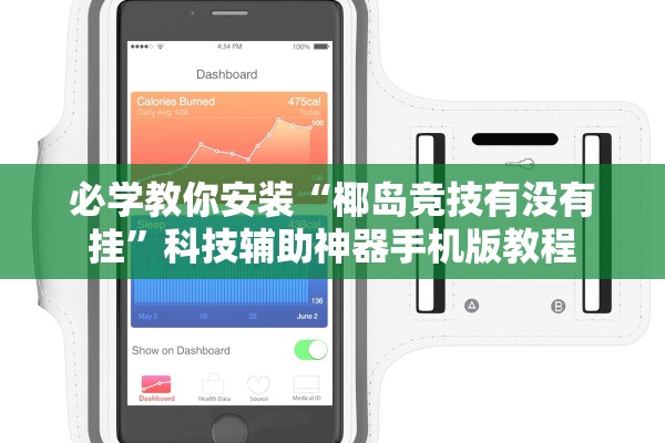 必学教你安装“椰岛竞技有没有挂”科技辅助神器手机版教程
