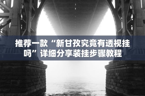 推荐一款“新甘孜究竟有透视挂吗”详细分享装挂步骤教程