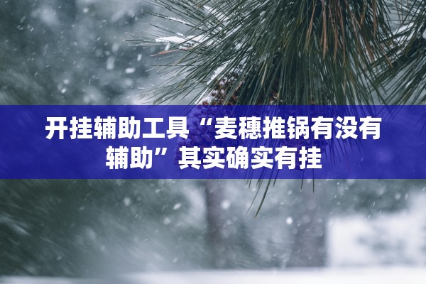 开挂辅助工具“麦穗推锅有没有辅助	”其实确实有挂