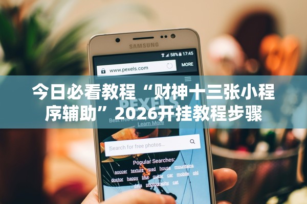 今日必看教程“财神十三张小程序辅助”2026开挂教程步骤