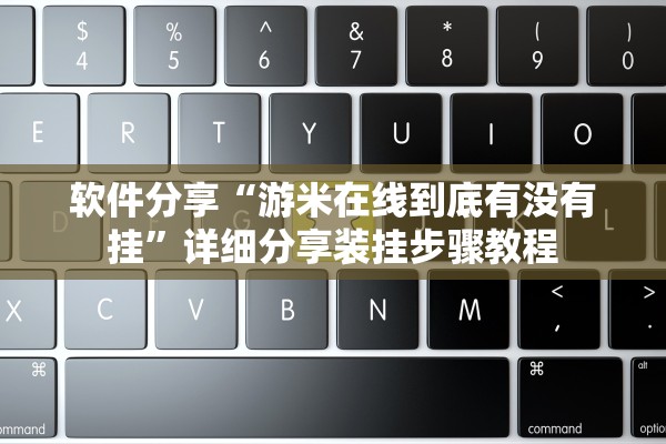 软件分享“游米在线到底有没有挂”详细分享装挂步骤教程